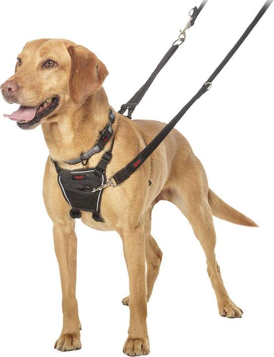 Immagine prodotto Company of Animals Imbracatura Halti No Pull Anti-pull M (M, Cane, Generale)