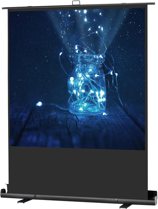Actual product image Celexon Ultramobil Plus Professional (108", 1:1)