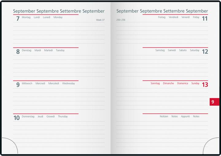 Produktbild Simplex Wochenagenda Ladytimer 10 x 14 cm, 2026, Olivgrün (10 x 14 cm, Deutsch)