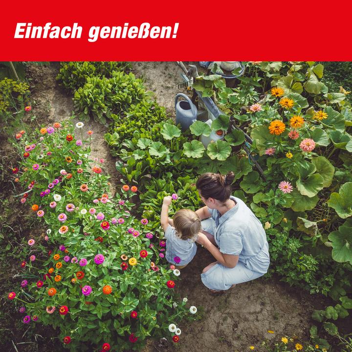 Produktbild Super Cat Solar-Maulwurf & Wühlmaus -Vertreiber SUPERCAT