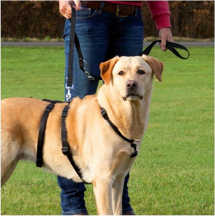 Produktbild Trixie Spezialgeschirr Stay bei Fluchtgefahr (XS, S, Hund, Hundesport)