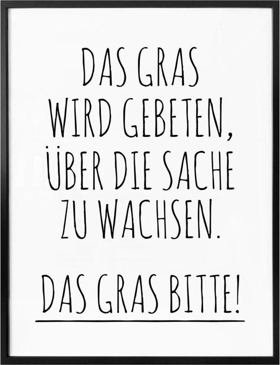 Produktbild Trenddeko Das Gras wird gebeten über die Sache zu wachsen. (60 x 80 cm)