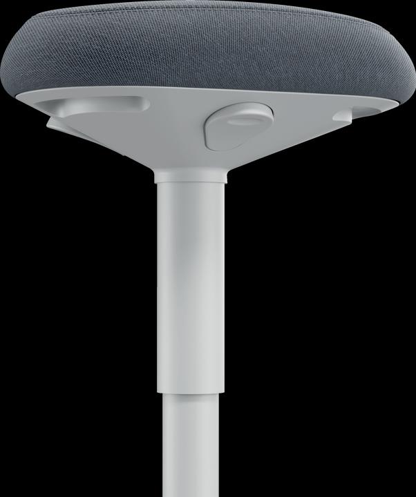 Actual product image Leitz Ergo Active