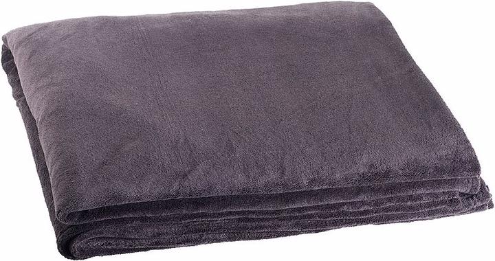 Actual product image Wilson Gabor XXL luxury cuddly blanket made of microfiber (220 x 240 cm)