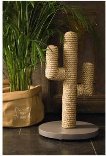 Actual product image Designed by Lotte Cactus (60 cm, White)