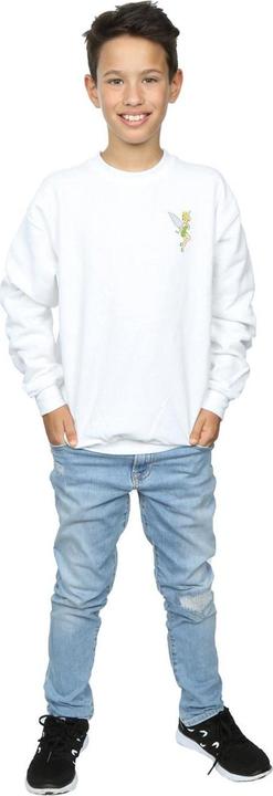 Image du produit Disney - Sweat TINKERBELL CHEST - Garçon (152, 158)