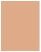 Produktbild Estée Lauder Double Wear Stay-In-Place (Medium 7)