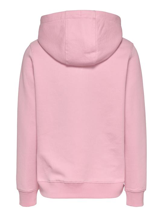 Actual product image Tommy Jeans Tjw Reg Ess Logo Hoodie Ext (L)