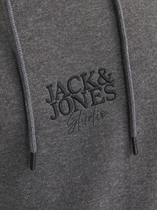 Produktbild Jack & Jones Logo Kapuzenpullover Kapuzenpullover (XXL)