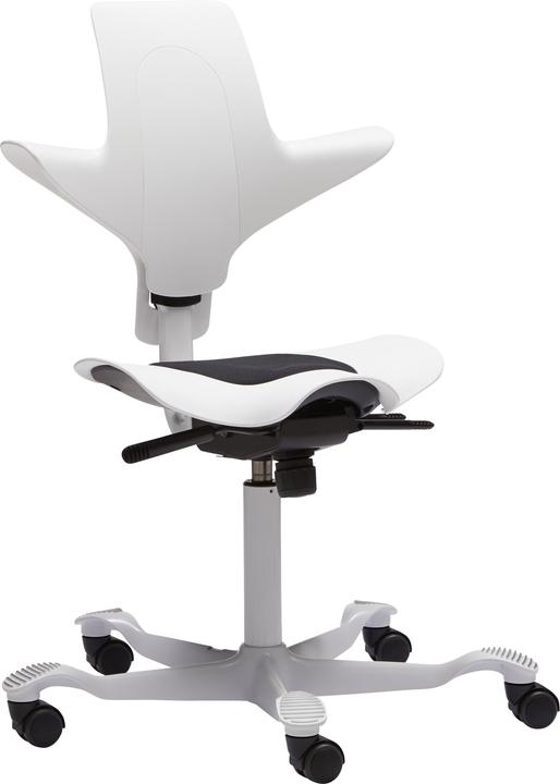 Image du produit HAG Capisco Puls 8010