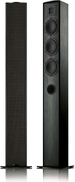 Actual product image Piega TMicro 60 AMT (1 pair)