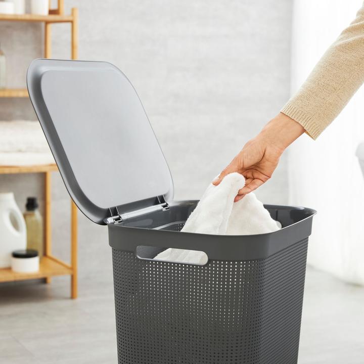 Image du produit Rotho Brises 1 (50 l)