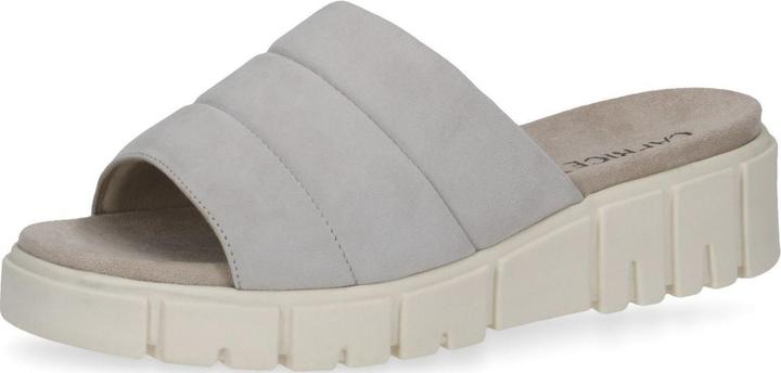 Camoscio grigio chiaro
