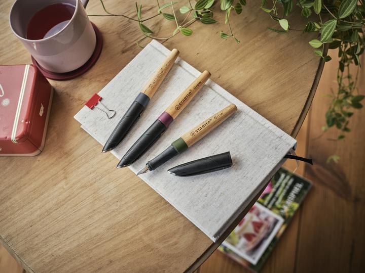 Actual product image STABILO Grow Fountain Pen 12 Display (Assorted, 12 x)