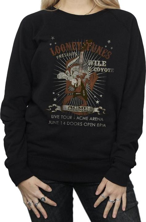 Actual product image Looney Tunes Sweatshirt (M)