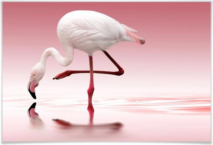Produktbild Trenddeko Reindl - Pink Flamingo (140 x 90 cm)
