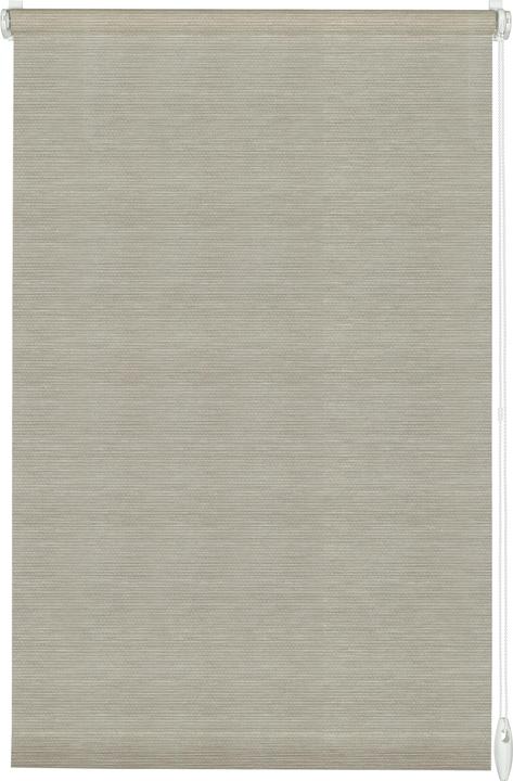 Immagine prodotto Gardinia Tenda a rullo EASYFIX natura (75 x 150 cm)