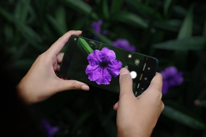Actual product image TCL 505 (128 GB, Space grey, 6.75", Dual SIM, 50 Mpx, 4G)