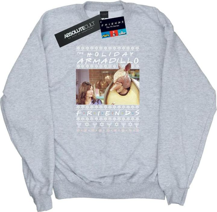 Image du produit Friends - Sweat FAIR ISLE HOLIDAY ARMADILLO - Femme (XXL)