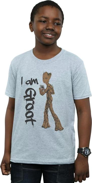Actual product image Boys Avengers Infinity War Graffiti Groot T-Shirt (140, 146)
