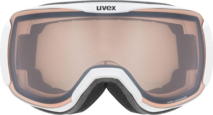 Image du produit Uvex Sports Downhill 2100 V