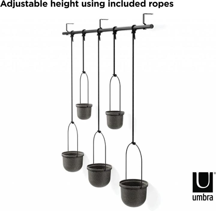 Actual product image Umbra Triflora (137 cm)