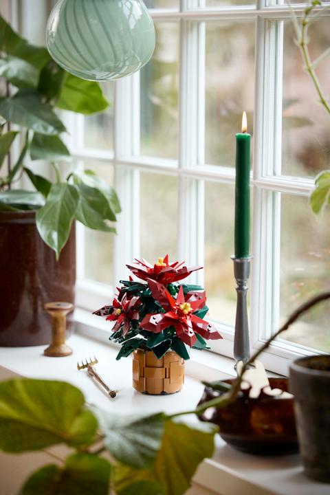 Actual product image LEGO Poinsettia (10370, LEGO Icons)