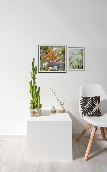 Produktbild Nielsen Accent (21 x 30 cm)
