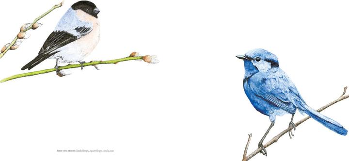 Produktbild Vögel in der Kunst (Deutsch, Kendra Wilson, 2020)
