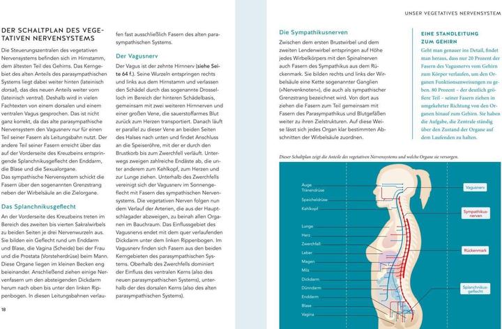 Immagine prodotto Das Vagus-Training (Tedesco, Ellen Fischer, 2021)