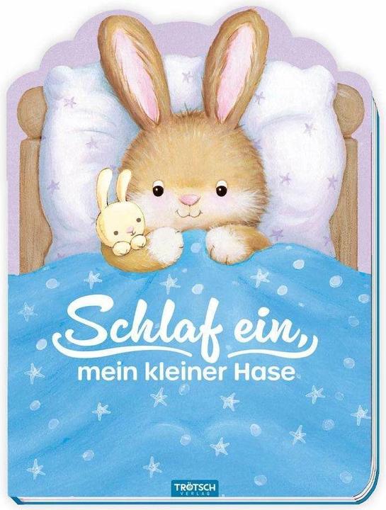 Actual product image Publisher (German)