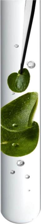 Image du produit Kérastase Chroma Absolu Bain Chroma Respect (250 ml, Shampoing liquide)