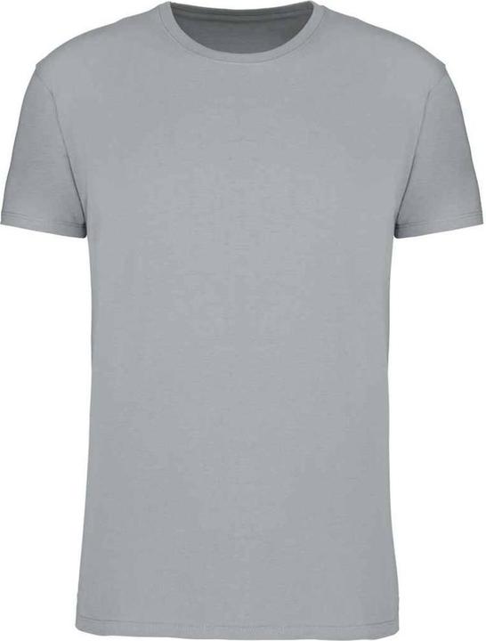 Grigio neve