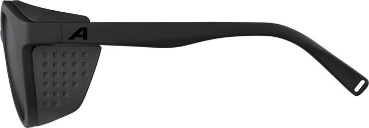 Produktbild ALPINA SPORTS Glace (Schwarz matt, Silber)