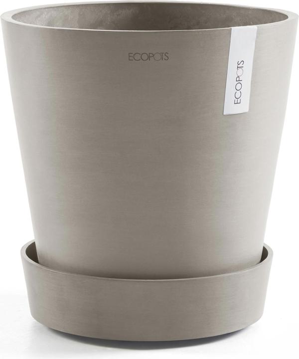 Image du produit Ecopots Soucoupe sur roues