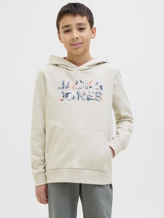 Produktbild Jack & Jones Jjebryan Corp Logo Sweat Hood Noos Jnr (176)