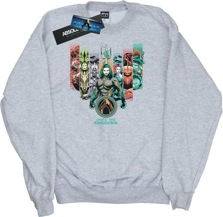 Jungen Aquaman vereinigen die Königreiche Sweatshirt