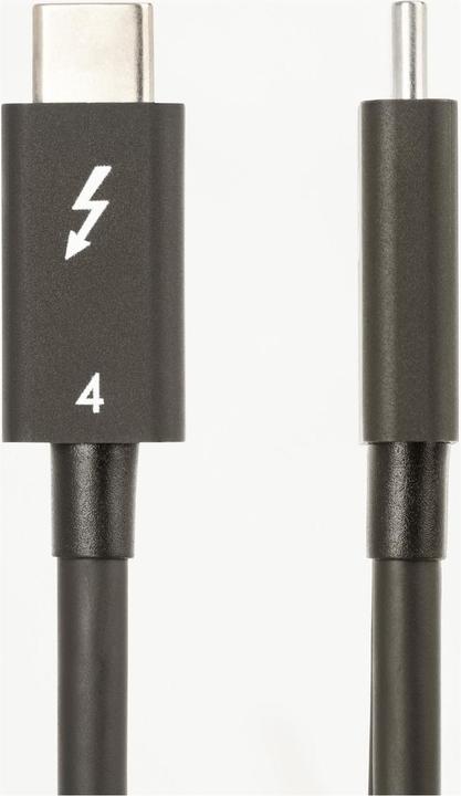 Produktbild StarTech 1.6FT (50CM) THUNDERBOLT CABLE (0.50 m, USB 4.0)