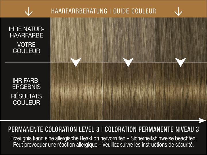 Image du produit Syoss Baseline X-Pantone 6-66 Roasted Pecan (6_66 Pécan grillé)