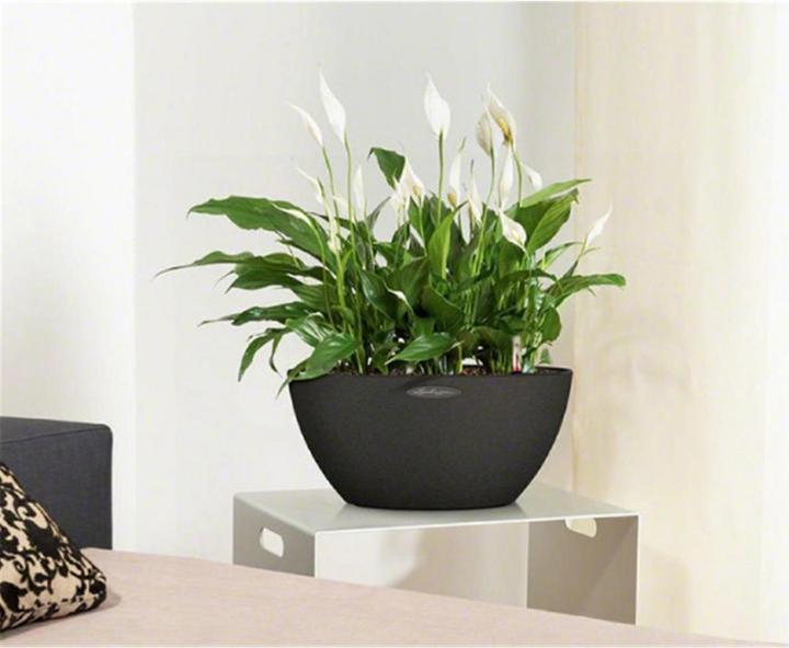 Produktbild Lechuza Cubeto Color (30 cm)