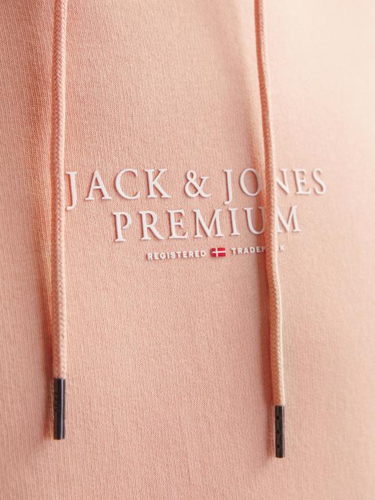 Produktbild Jack & Jones Logo Kapuzenpullover Kapuzenpullover (XXL)