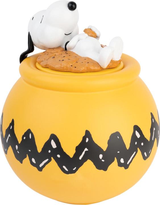 Actual product image Peanuts - Snoopy's sleeping