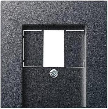 Gira Central plate