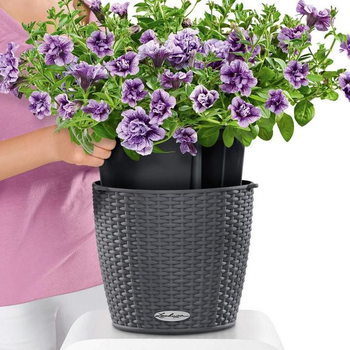 Actual product image Lechuza Nido Cottage (27 cm)