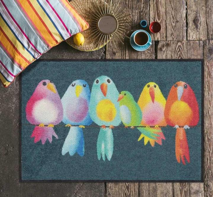 Image du produit Salonloewe Fussmatte Rainbow Birds 50 cm x 75 cm (50 x 75 cm)
