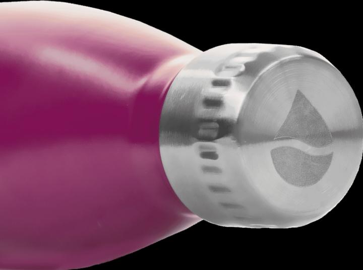 Actual product image FLSK Drinking bottle (0.50 l)