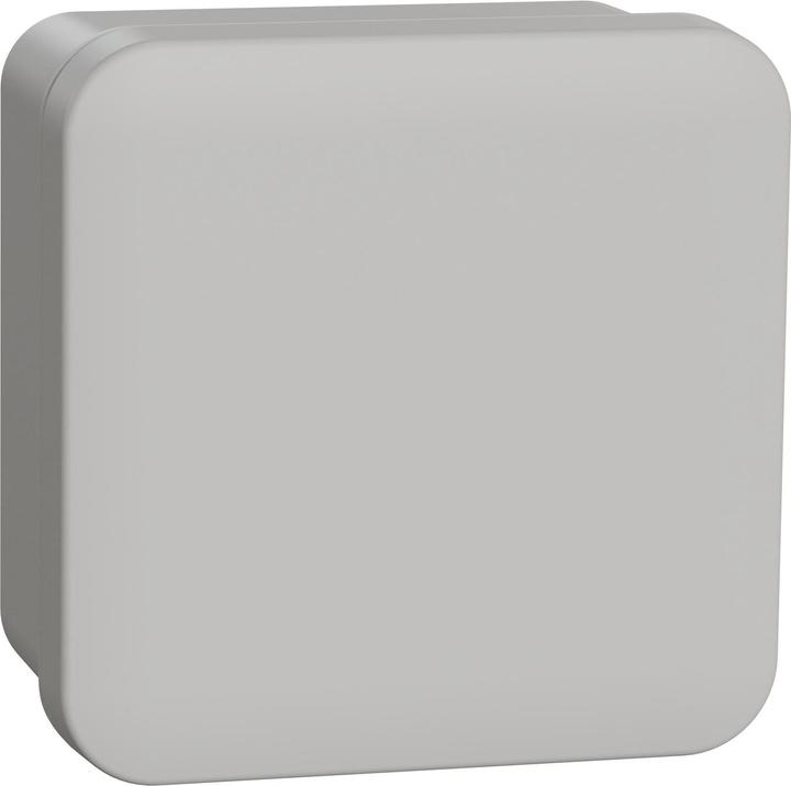 Schneider Electric Mureva BOX, Abzweigdose, ohne, ENN05044