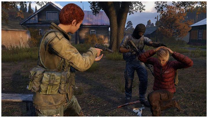 Actual product image Sold Out DayZ (PS4, DE)