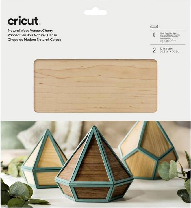 Cricut Cherry