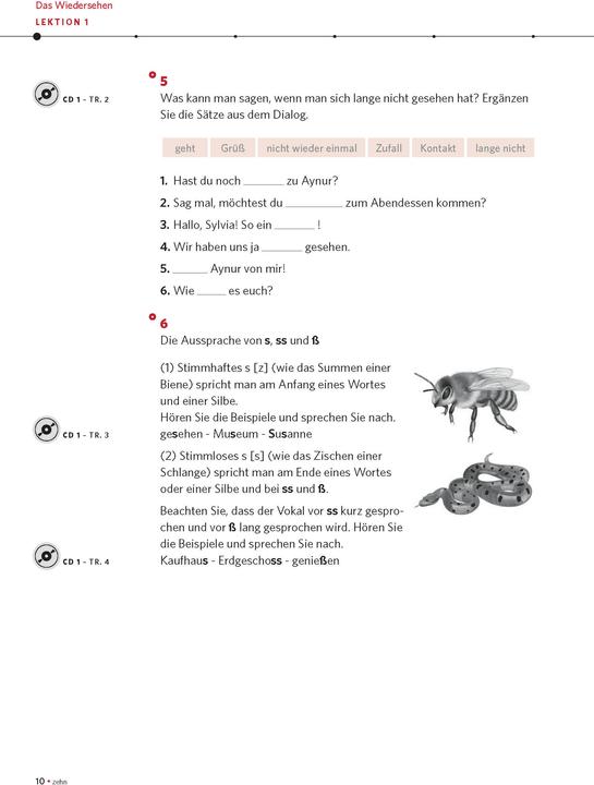 Produktbild PONS Power-Sprachkurs Deutsch als Fremdsprache für Fortgeschrittene (Deutsch, Christine Breslauer, 2018)